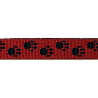 Rot mit schwarzen Pfoten